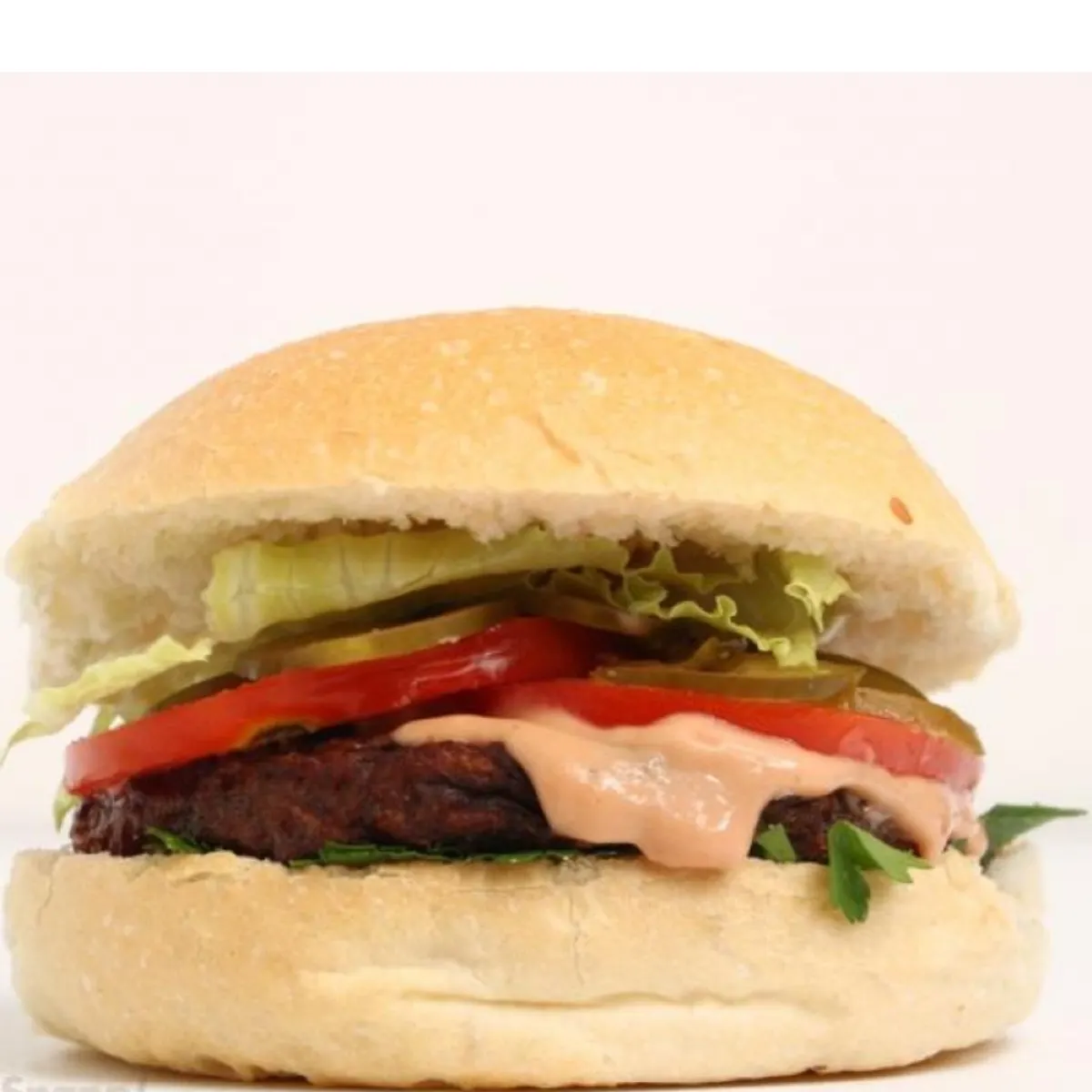  ساندویچ کتلت گوشت